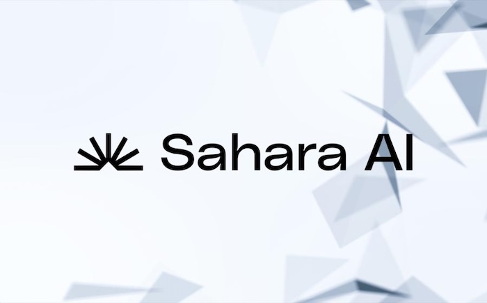 Sahara AI项目是做什么的？谁创建了Sahara AI代币？团队背景可靠吗？ - php中文网